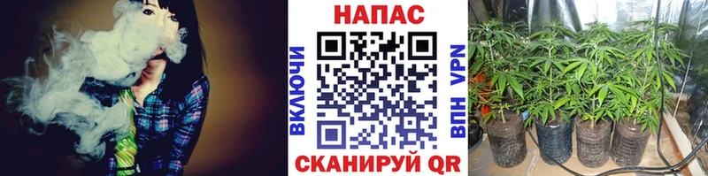 где найти   Похвистнево  Шишки марихуана гибрид 
